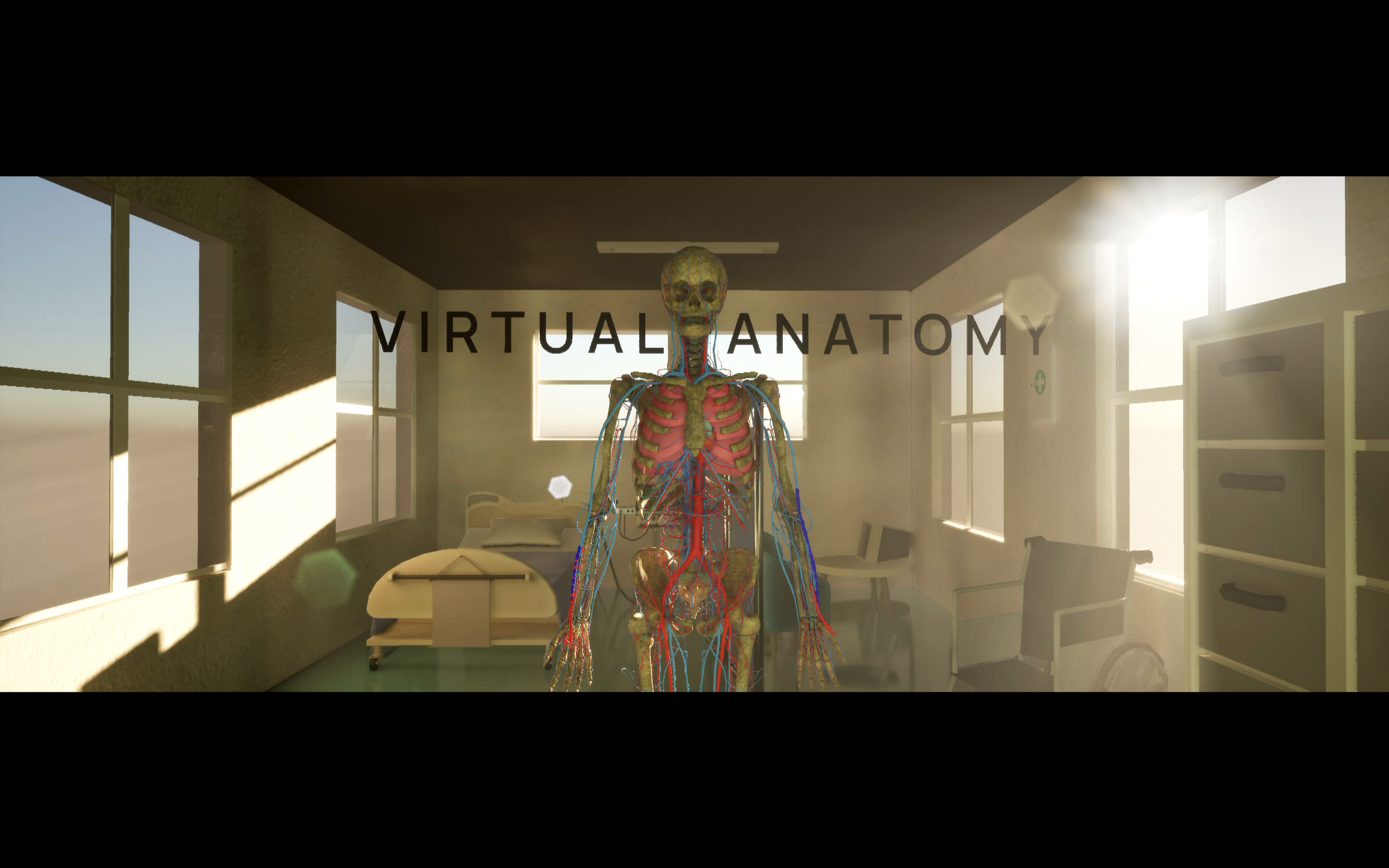 Virtual Anatomy project