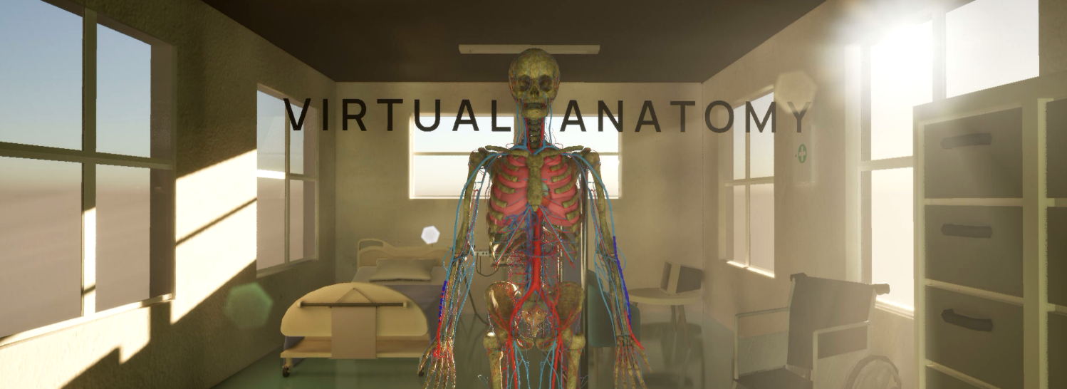 Virtual Anatomy project